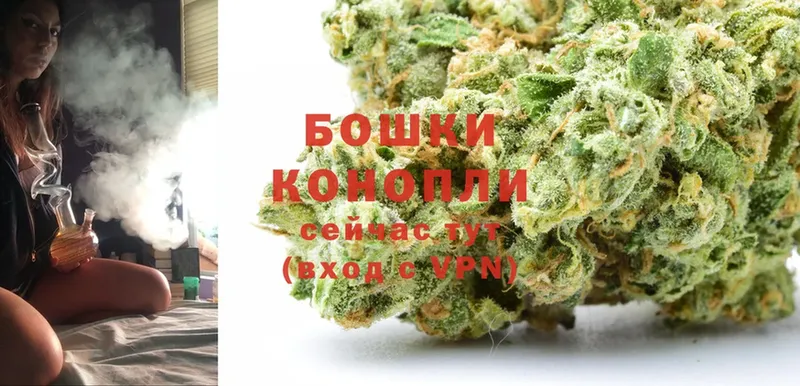 МАРИХУАНА White Widow  мориарти Telegram  Вытегра 